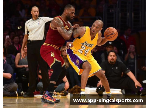 詹黑与詹粉的对决：NBA球迷内斗的背后真相
