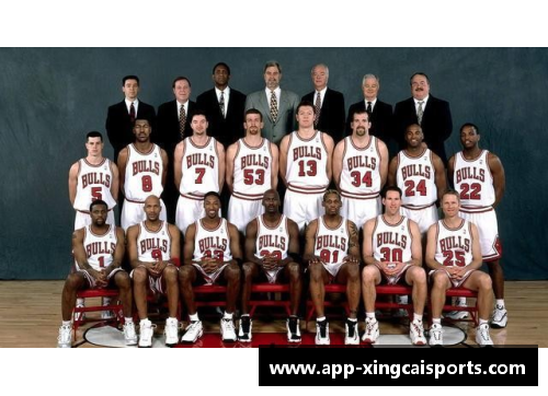 NBA最新伤停名单：球队状况一览