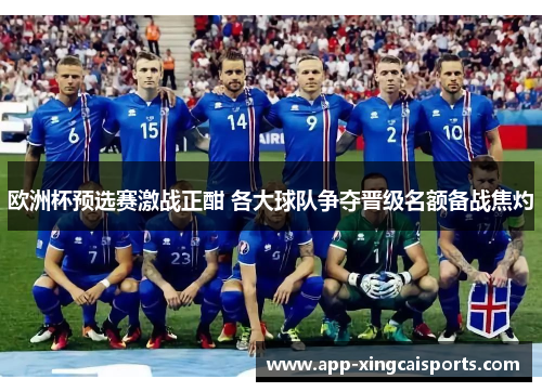 欧洲杯预选赛激战正酣 各大球队争夺晋级名额备战焦灼